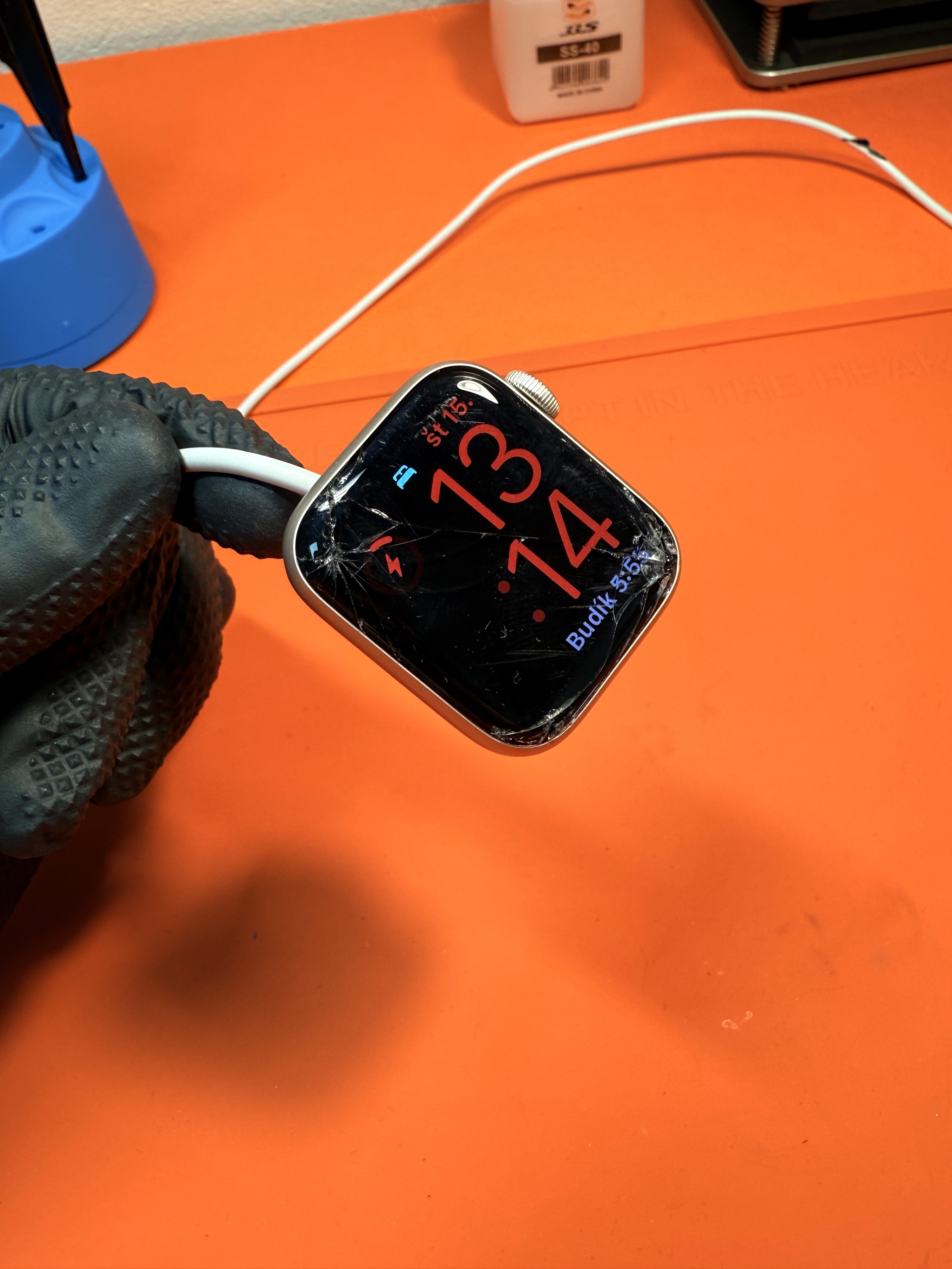 Apple Watch Servis